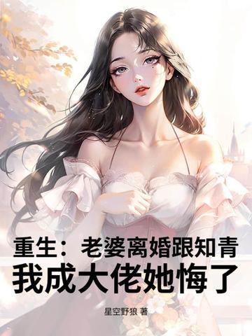 重生之老婆总想离婚