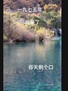 重生一九七二