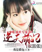 盛世独宠逆天娘亲萌宝宝