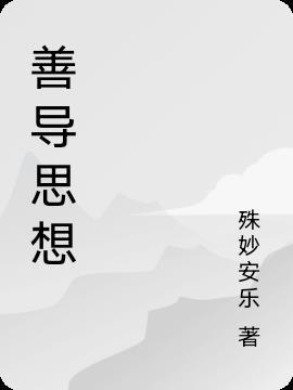 善导什么意思