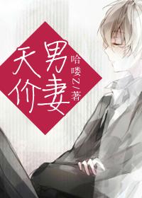 天价男妻韩明轩