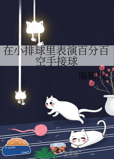在小排球里表演百分百空手接球27章