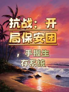 抗战保安团txt