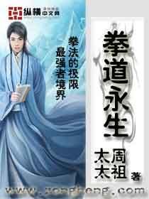 我以道种铸永生完整版