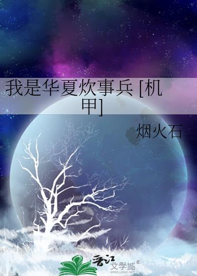 我是华夏炊事兵烟火石免费观看