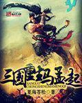 三国重生马孟起顶点网