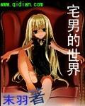 宅男的世界网站