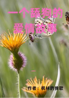 舔狗 爱情