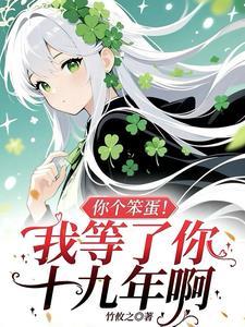 你个笨蛋
