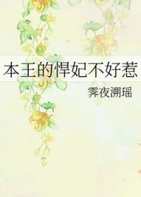追剧网