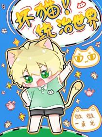 坏猫猫免费