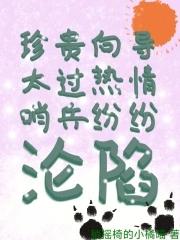 哨兵向导 经典