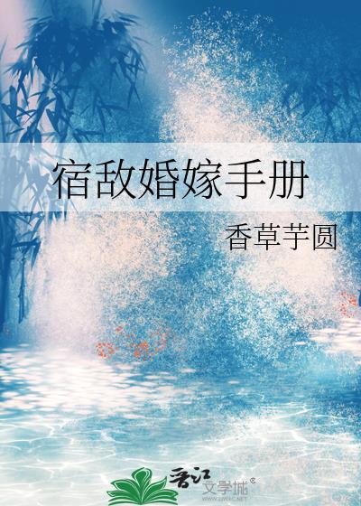 宿敌婚嫁手册24