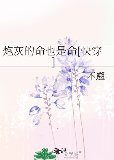 炮灰是什么