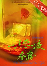 一千零一夜春露晋江