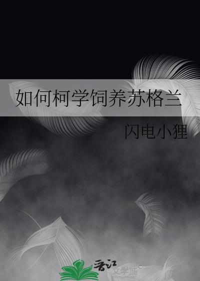 苏格兰梗怎么训练