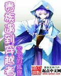 穿越贵族生活日记