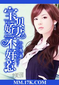 宝贝娇妻不好惹小小鬼