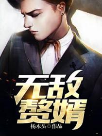 无敌赘婿by玚瑷免费阅读