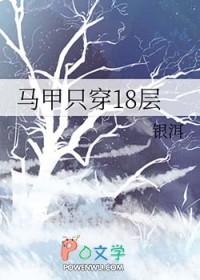 马甲只穿18层作者银洱