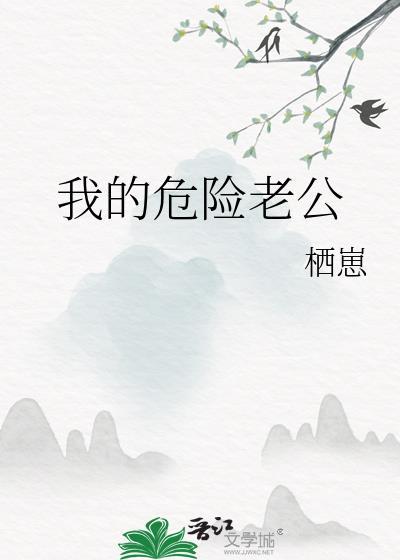 我的危险老公电视剧免费观看