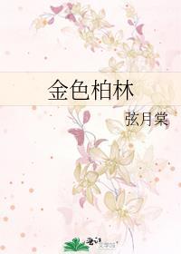 金色柏林在线阅读