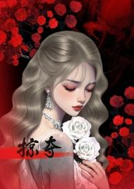 掠夺类