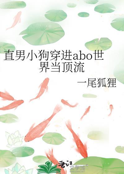 直男穿到晋江