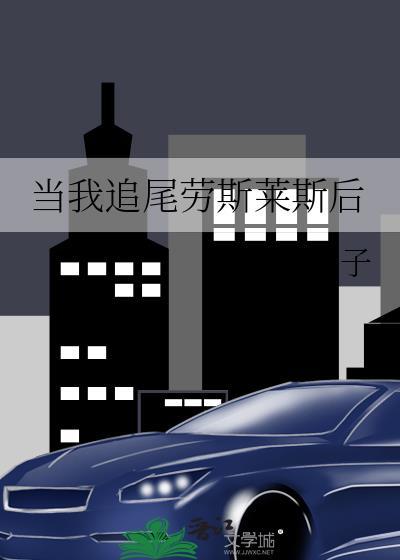 当我追尾劳斯莱斯后 板栗子