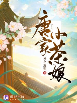 唐家小主