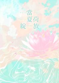 荷花盛夏的绽放