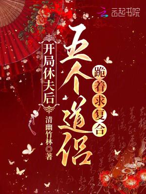 开局休夫成富婆