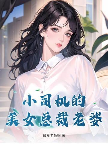 女总裁的司机叫小向是什么电视剧