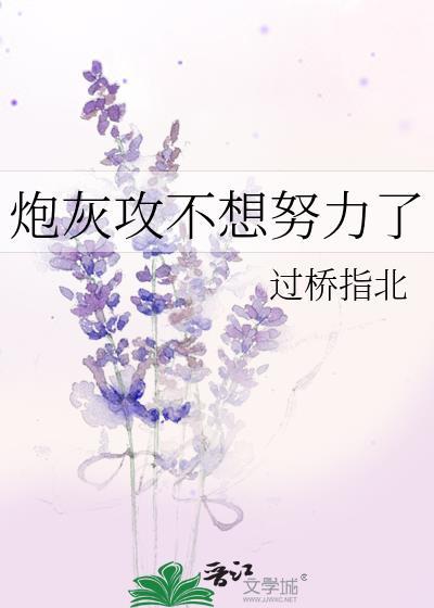 炮灰攻不想努力了作者过桥指北