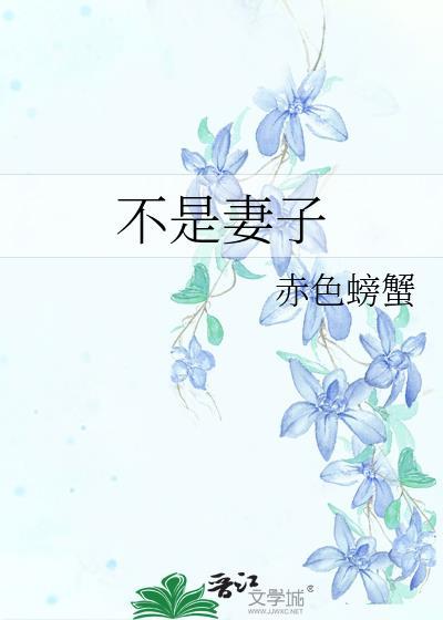 不是妻子合葬