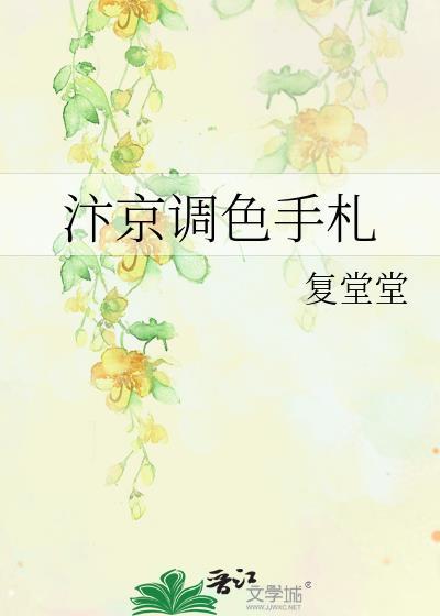 汴京调色手札晋江