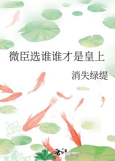 微臣选谁谁才是皇上全文免费