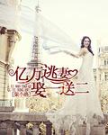 亿万宠妻取一送三