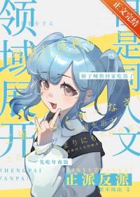 领域展开是啥动漫