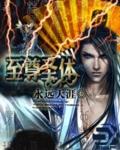 至尊圣体叶辰