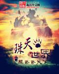 世界珠的