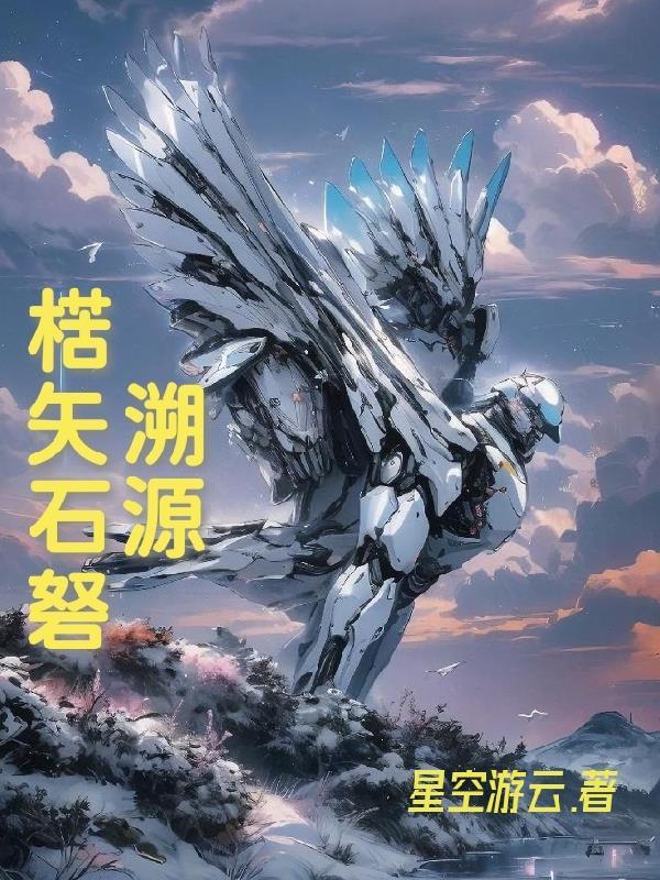 溯石数字科技有限公司