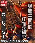 纵横三国的铁血骑兵怎么打