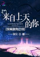 来自天上的水歌词