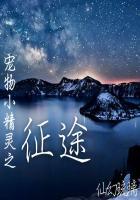 宠物小精灵 旅途在线播放