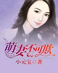 萌妻不可欺 小元宝