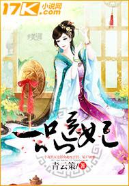 一品医妃讲什么