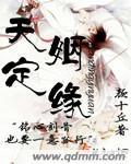 天定姻缘苏兰