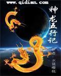 神龙教五龙使排名