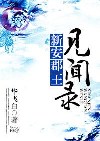 新安郡王见闻录有车吗
